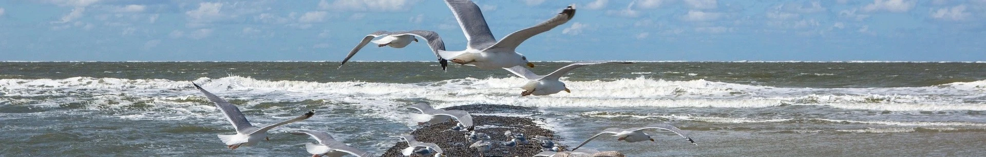 Seitenbild 8